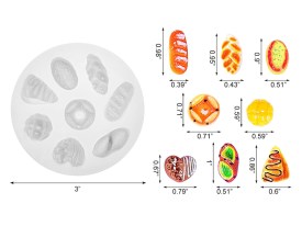 Molde silicona 8 mini panificados 